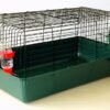 Jaula Grande para Conejos, Cuyes y Erizos 85 cm - Tolva +bebedero -Verde
