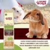 Viruta de Alamo 100% Natural - Sutrato - Bolsa de 10 L - Living World - Imagen 2