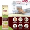 Viruta de Alamo 100% Natural - Sutrato - Bolsa de 10 L - Living World - Imagen 4